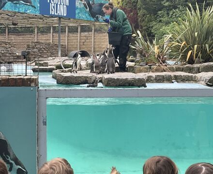IMG 3158